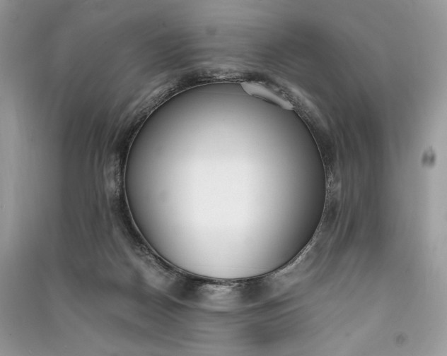X0000090700170200708101450