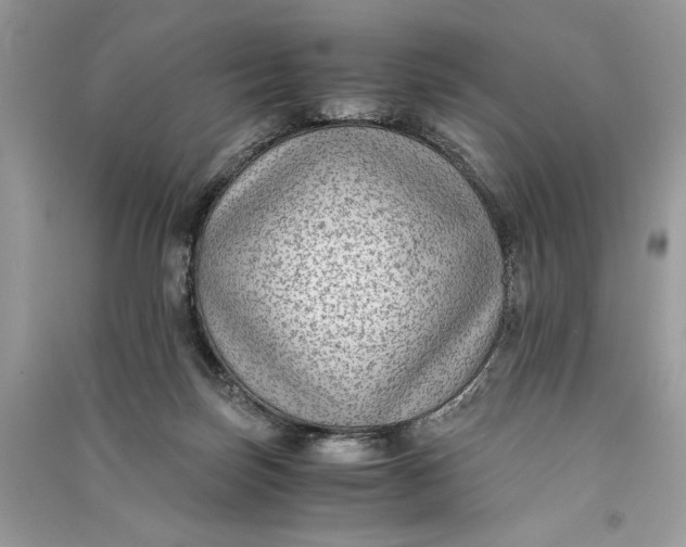 X0000090700171200708101450
