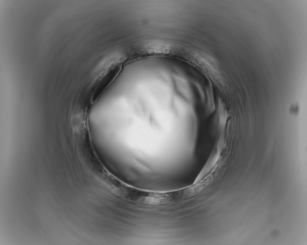 X0000090700172200708101450