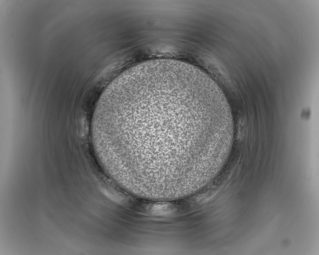 X0000090700173200708101450
