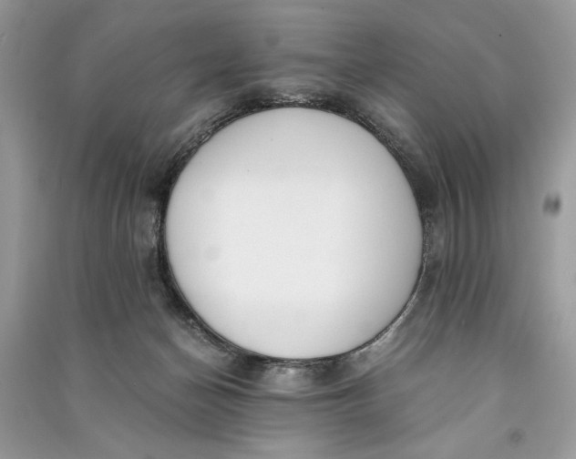 X0000090700174200708101450