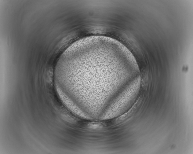 X0000090700175200708101450