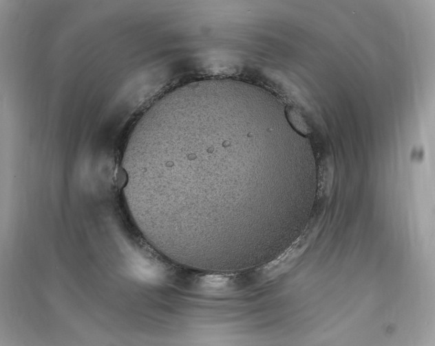 X0000090700176200708101450