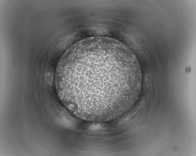X0000090700177200708101450