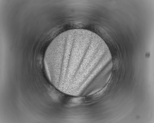 X0000090700178200708101450
