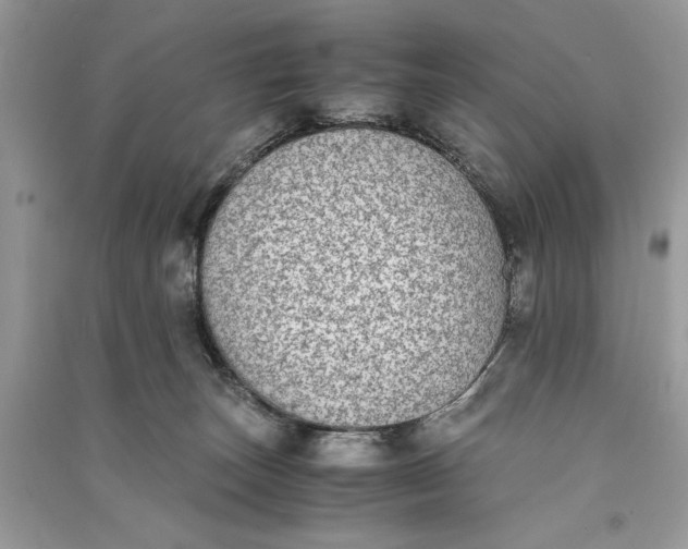 X0000090700179200708101450