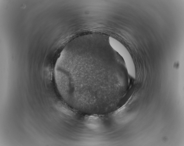 X0000090700180200708101450