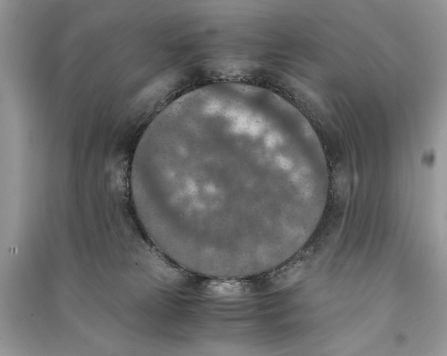 X0000090700181200708101450