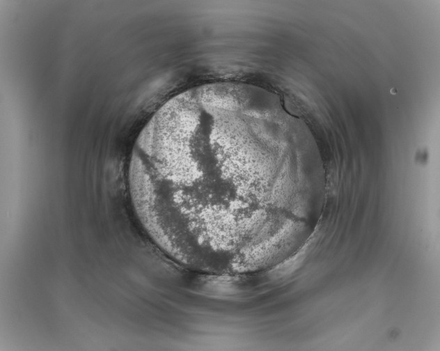 X0000090700182200708101450