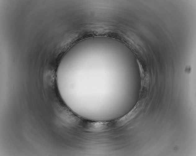 X0000090700184200708101450