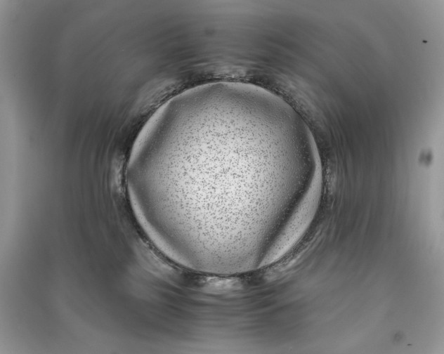 X0000090700185200708101450