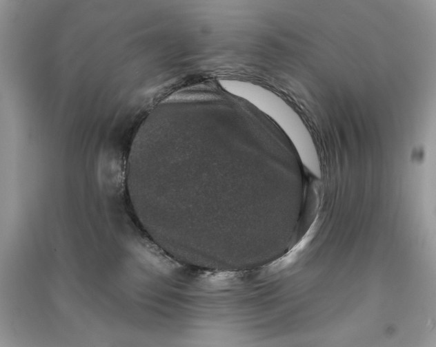 X0000090700186200708101450