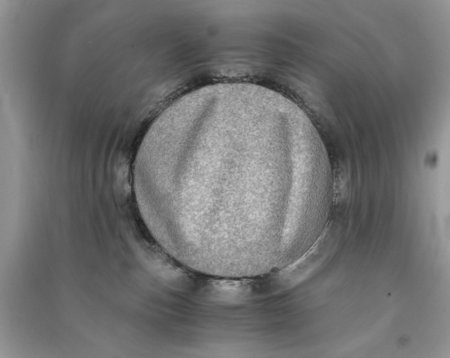 X0000090700187200708101450