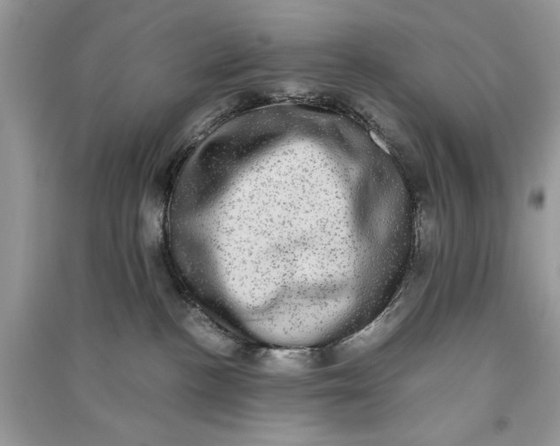 X0000090700188200708101450
