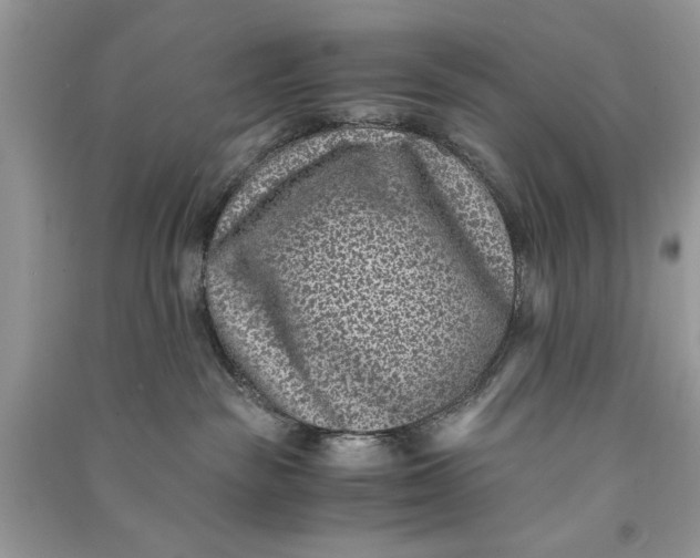 X0000090700189200708101450