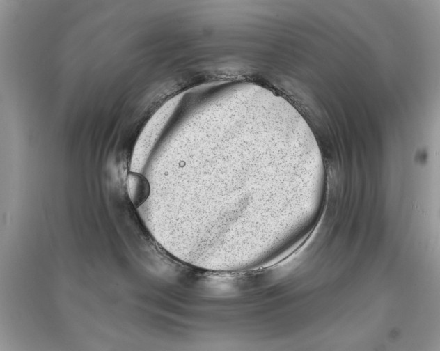 X0000090700190200708101450