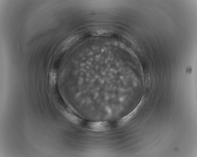 X0000090700191200708101450