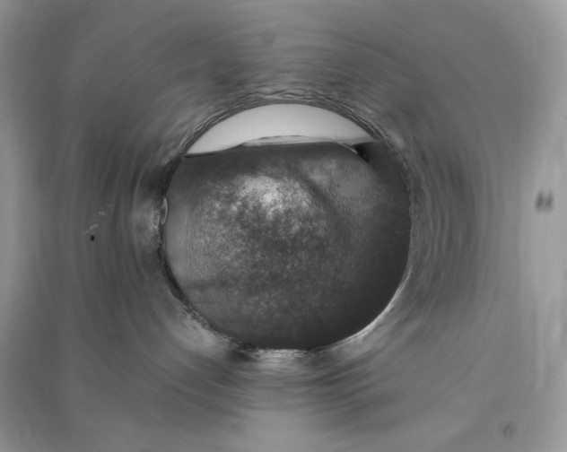 X0000090700192200708101450