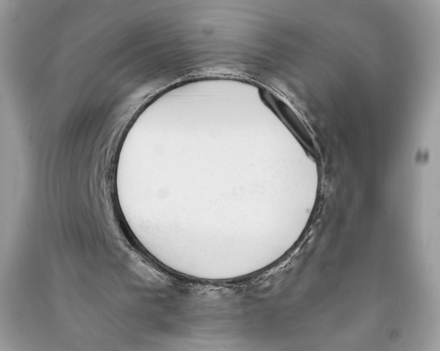 X0000090700193200708101450