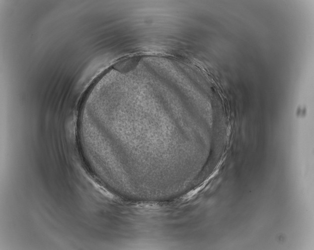 X0000090700194200708101450