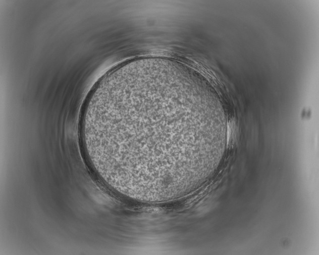 X0000090700195200708101449