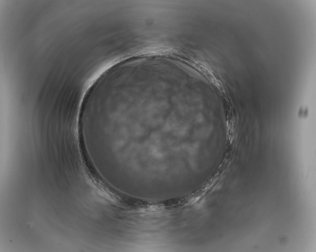X0000090700196200708101449