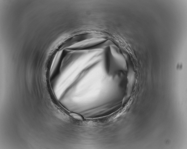 X0000090700197200708101449