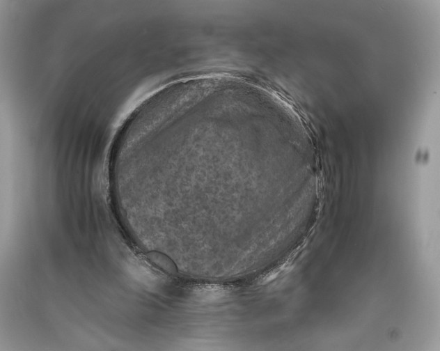 X0000090700198200708101449