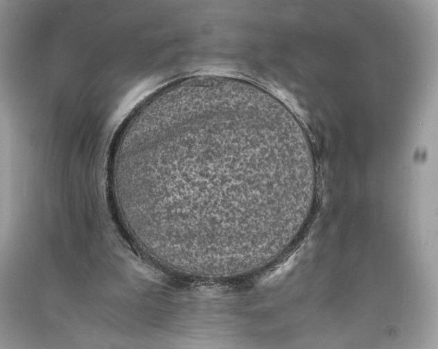 X0000090700199200708101449