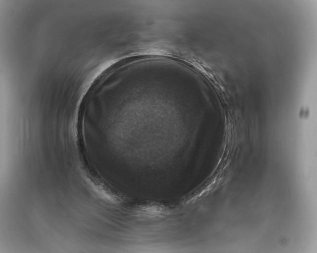 X0000090700200200708101449