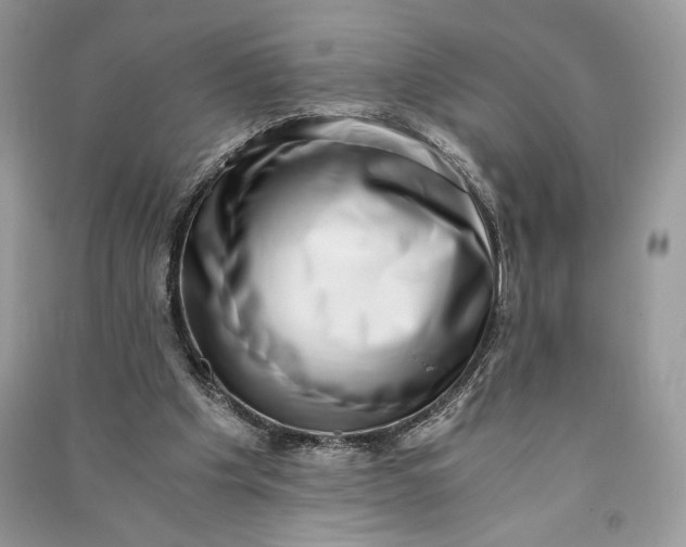 X0000090700201200708101449