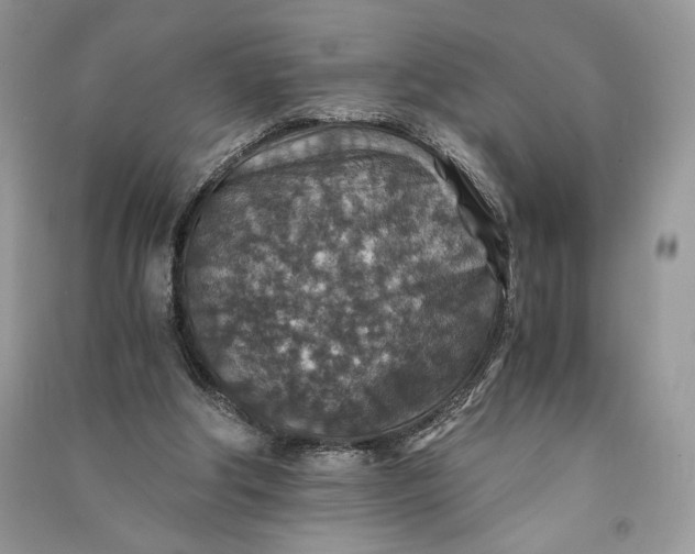 X0000090700202200708101449