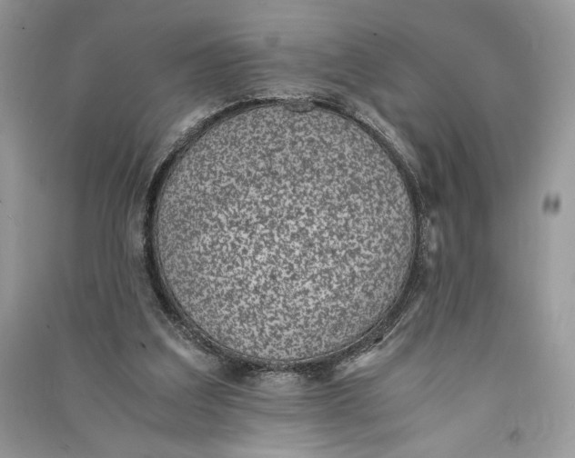 X0000090700203200708101449