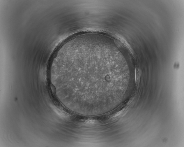 X0000090700204200708101449