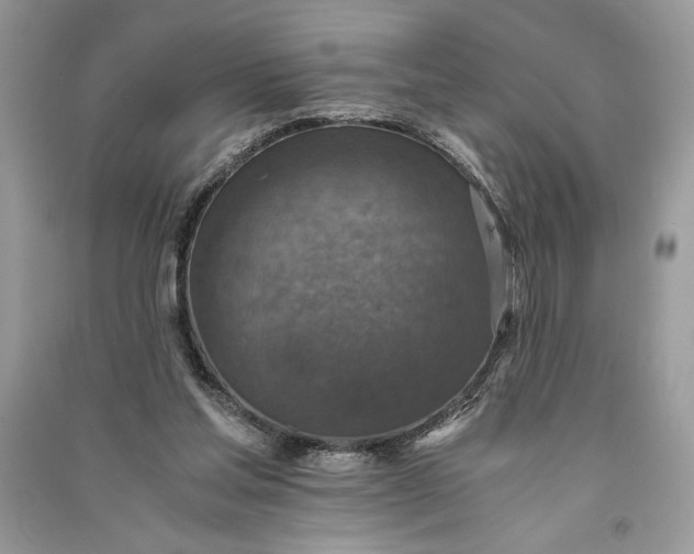 X0000090700205200708101449