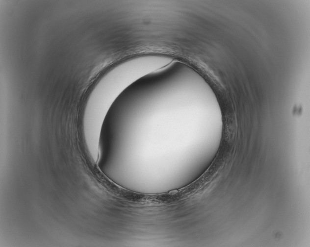 X0000090700207200708101449