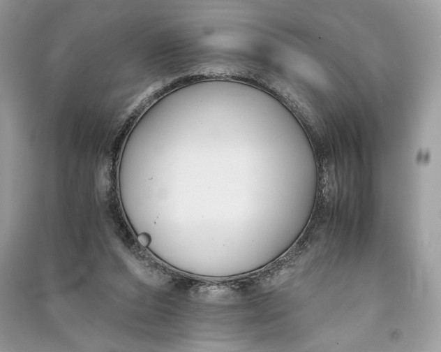 X0000090700208200708101449