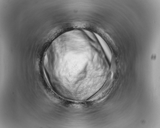 X0000090700209200708101449