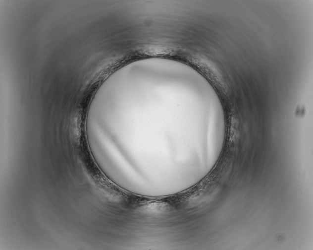 X0000090700210200708101449