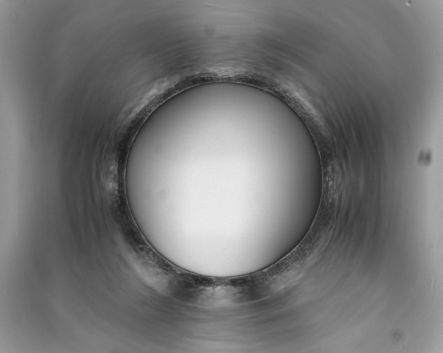 X0000090700212200708101449