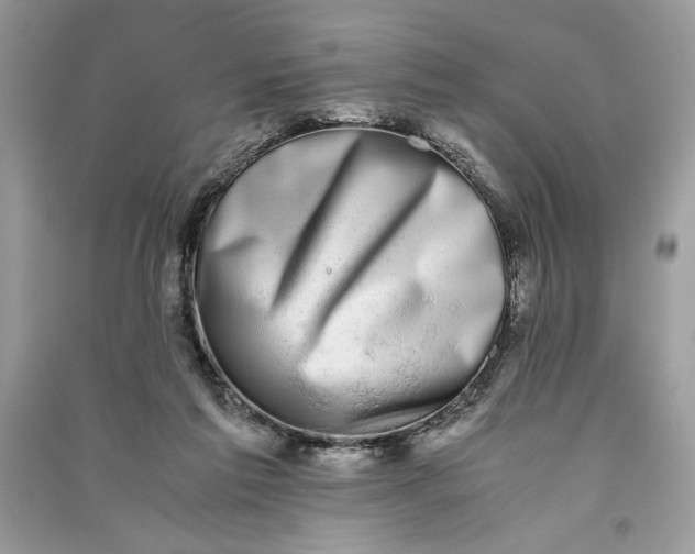 X0000090700213200708101449
