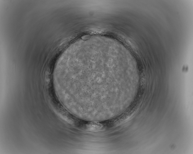 X0000090700215200708101449