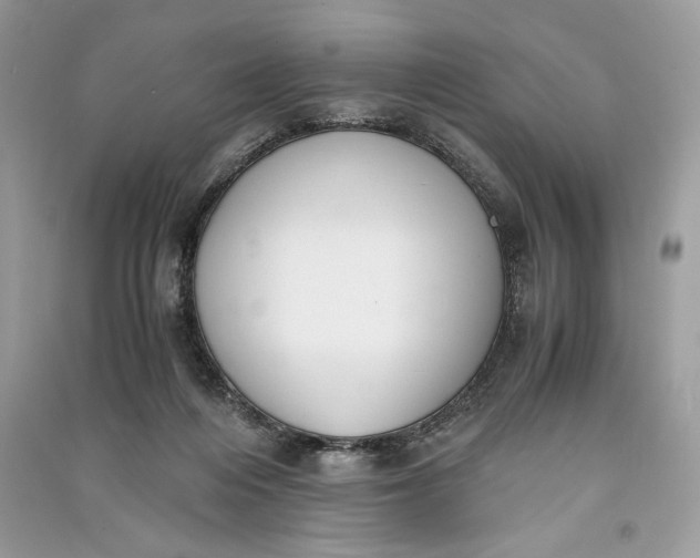 X0000090700216200708101449