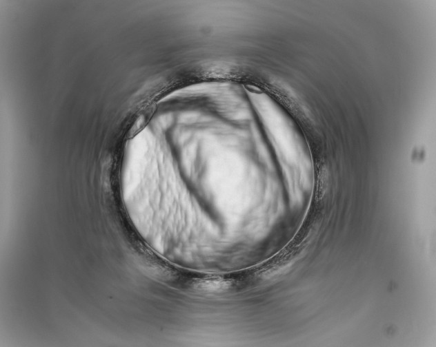 X0000090700217200708101449