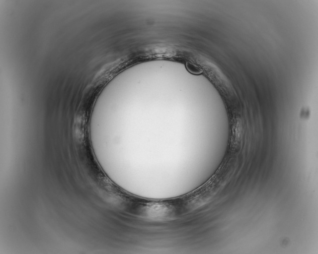 X0000090700218200708101449
