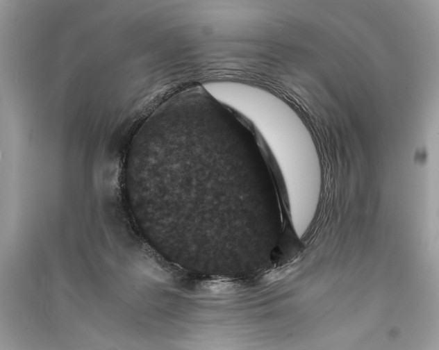 X0000090700219200708101449