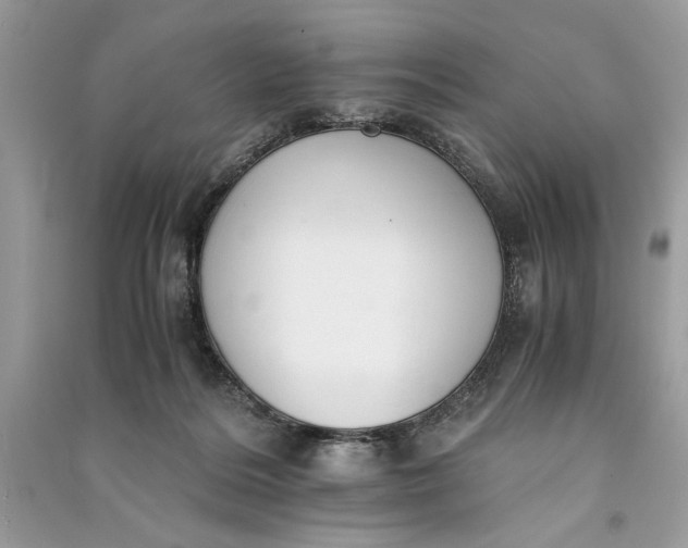 X0000090700220200708101449