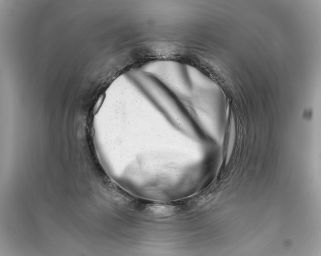X0000090700221200708101449