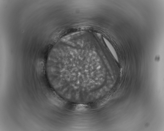 X0000090700222200708101449