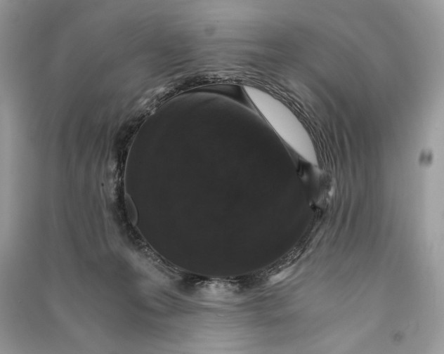 X0000090700223200708101449